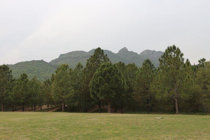 Trees and green hills above Islamabad near Faisal Mosque