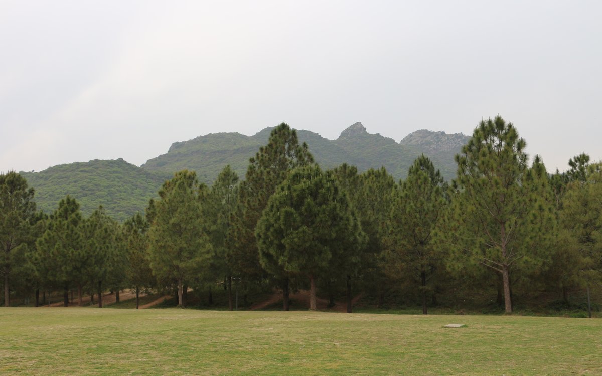 Trees and Hills Above Faisal Mosque