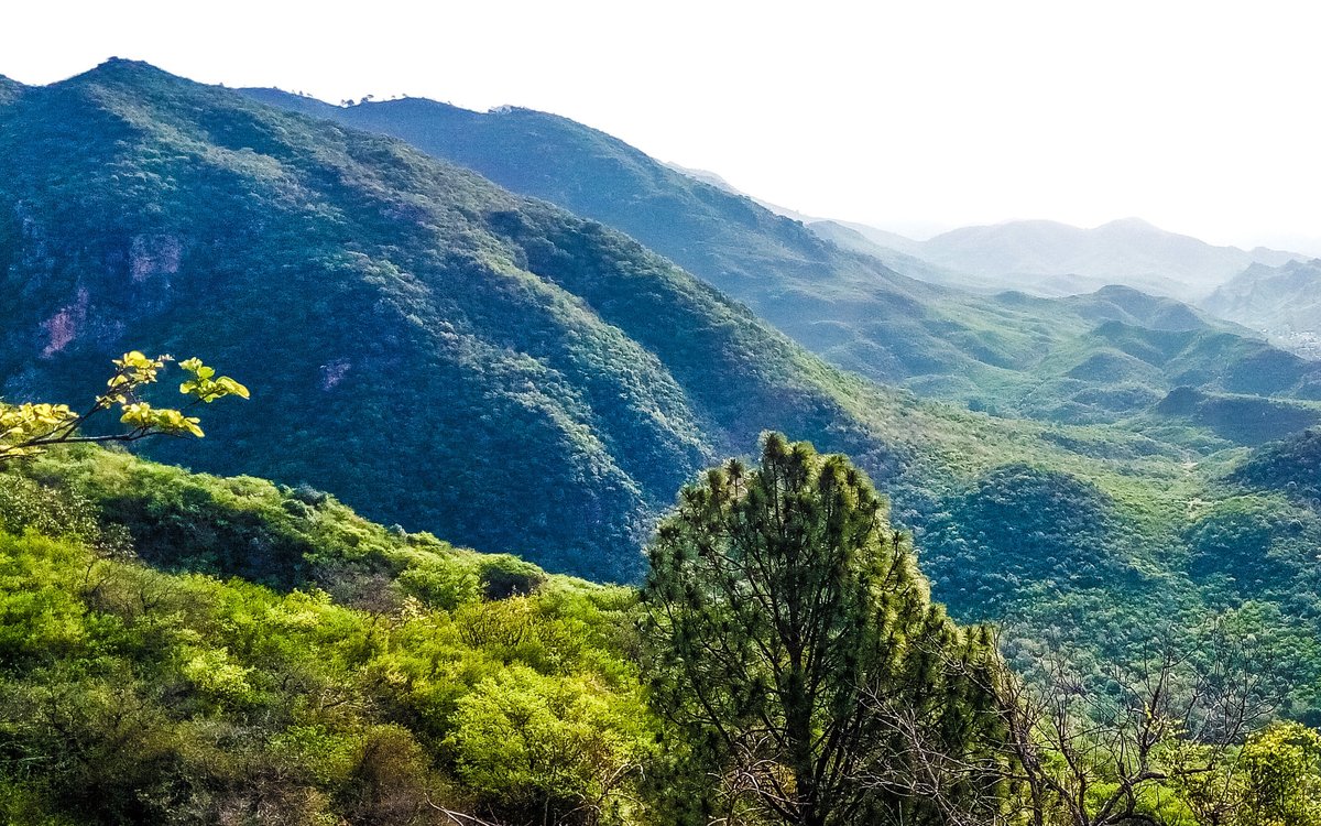 Trail 3 in the Margalla Hills