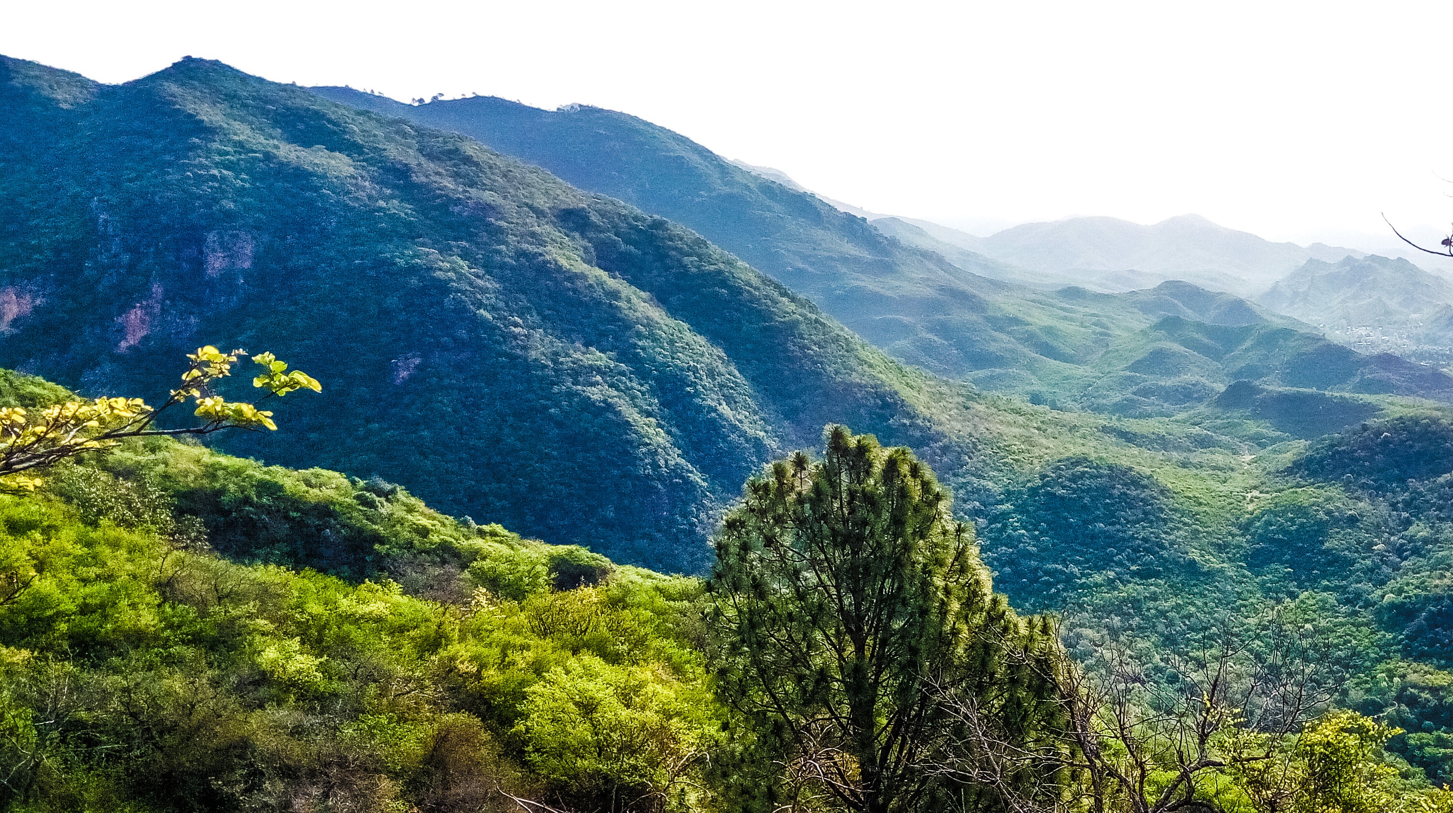 Trail 3 in the Margalla Hills